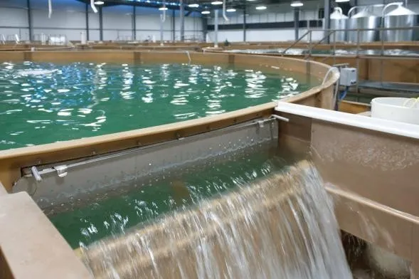 CO2传感器在水产养殖行业的广泛应用(图10)