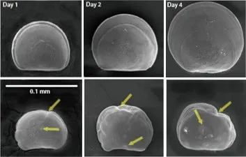 CO2传感器在水产养殖行业的广泛应用(图5)