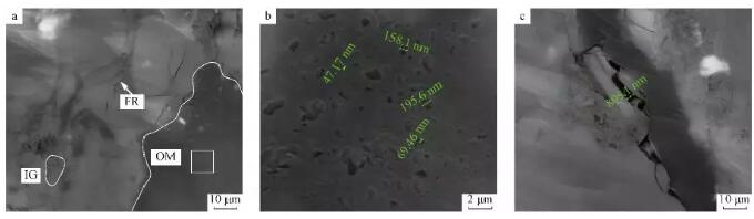 页岩中细粒矿物粒间孔隙（无机孔）、有机孔及微裂缝分布