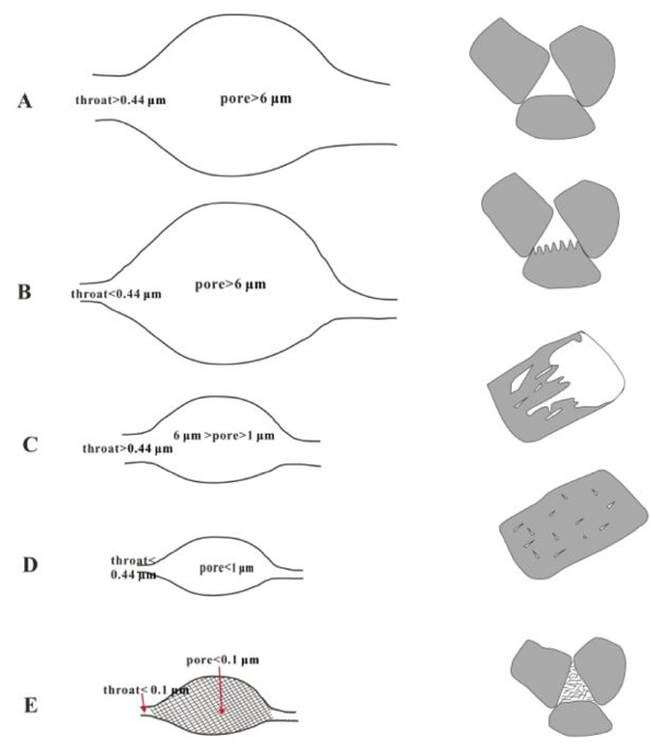 图9 砂砾岩中发育的五种主要的孔喉结构